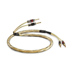Golden Anniversary XT Pre-Term Speaker Cable 5 M