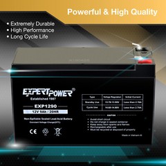 10 PACK – 12V 9 Amp EXP1290 Rechargeable AGM Sealed Lead Acid Battery