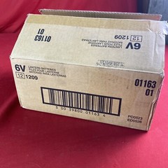Lot Of 12 Eveready (1209) Lantern 6 Volt Battery Heavy Duty Spring Top – Sealed!