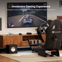 Fosi Audio TP-02 Subwoofer Amplifier Mini Digital Sub Bass Integrated Amp 220W