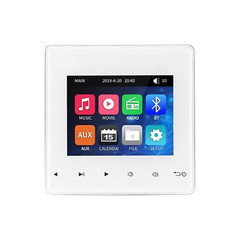 Mini Wall Amplifier Bluetooth Smart Sound System Theater Stereo Ceiling Speaker