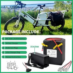 60V 20Ah Battery Pack Li_thium Lifepo4 for B_ike 1500W Ele c/tric Motor 50A BMS