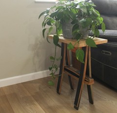 AmishToyBox.com Rustic Plant Stand or End Table with Wormy Maple Top and…