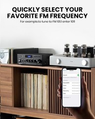 Home Audio Amplifier with Bluetooth 5.3, 300W Peak]