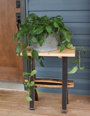 AmishToyBox.com Rustic Plant Stand or End Table with Wormy Maple Top and…