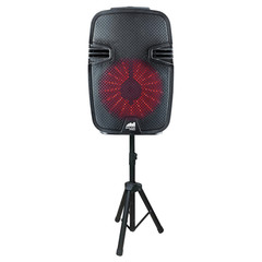 Naxa Dual 8″ Bluetooth Party Speakers – Refurbished Grade Very Good