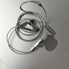 🇺🇸 Chrome Silver Wired Earphones Earbuds w/ Mic & Volume Control USB C port 💿