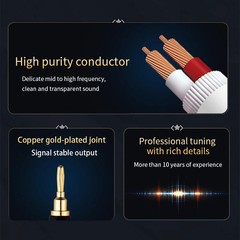 YYTCG HiFi Speaker Cable Oxygen-Free Copper 24K Gold Banana/Y Plug Audio Wire