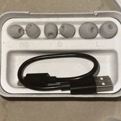 Sony WF-1000XM5 Earbuds Model YY2963 “For the Music”