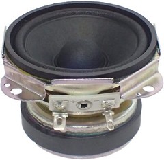 Panasonic 6.5 cm Full Range Speaker 8Ω 10W EAS65P118D