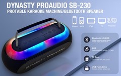Dynasty ProAudio SB-230 Portable Bluetooth Speaker/Karaoke Machine