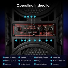 Portable Dual FM Radio and Bluetooth Speaker Karaoke w/Mic for Home Parties