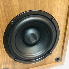 Angel’s Horn Bookshelf Speakers Wood Grain Pair Tested & Working 18W 4ohm