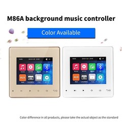 Mini Wall Amplifier Bluetooth Smart Sound System Theater Stereo Ceiling Speaker