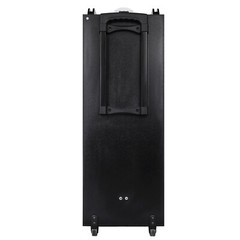 Portable Bluetooth Speaker Dual 10″ Woofers & Tweeter w/ Disco Light Mic Remote