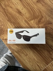 GL 10 Smart Glasses AI Translation