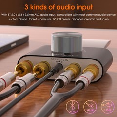 100W Mini Bluetooth 5.0 Digital Power Amplifier TPA3116 Stereo Audio Receiver