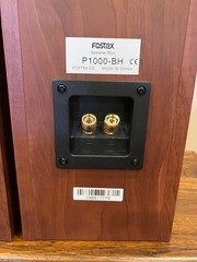 Fostex P1000-BH back-loaded horn speakers – Pair – Madisound