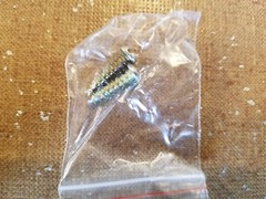 3-Way Coax Splitter Steren 201-203 1GHz 90 dB Isolation – QUANTITY OF 8