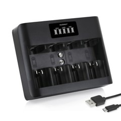 Tenergy NiMH AA and AAA Charger (USB Input)