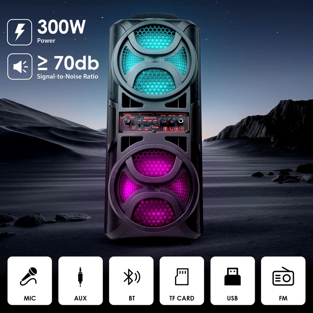 Portable Dual FM Radio and Bluetooth Speaker Karaoke w/Mic for Home Parties