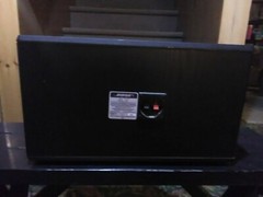 Bose Black 4.2 Stereo Everywhere Speaker LEFT & RIGHT Fast Shipping