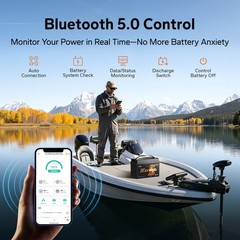 LiTime 24V 100Ah Group31 Bluetooth LiFePO4 Lithium Battery For Trolling Motor