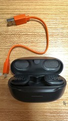 JBL Endurance Race TWS True Wireless In-Ear Sport Headphones (Black)