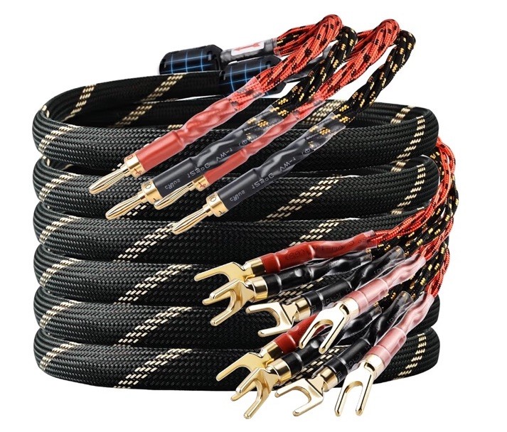 12 AWG 2Pack Audiophile Speaker Cable Wire with Banana Plugs, 4N OFC 9.8 Feet