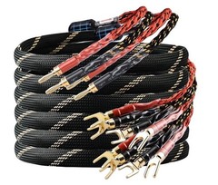 12 AWG 2Pack Audiophile Speaker Cable Wire with Banana Plugs, 4N OFC 9.8 Feet