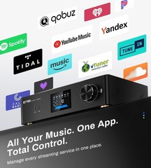 P30 300W x 2 Multiroom Streaming Amplifier Stereo Music Streamer with ESS ES9…