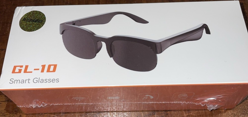 GL 10 Smart Glasses AI Translation