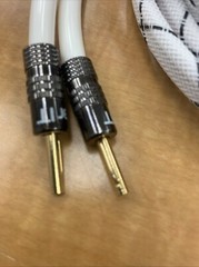 Brand New QED XT25 BI-Wire 2.0m