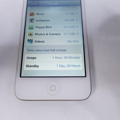 Apple iPod touch 4th Generation Black 32GB A1367 Working IOS 6.1.6