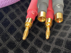 TARA Labs RSC Reference Bi-Wire Speaker Cable Pair 8ft Banana Plugs Audiophile