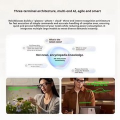 Rokid Glasses Smart AI&AR Glasses with 12MP Camera 89 Languages Live Translation