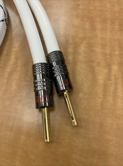 Brand New QED XT25 BI-Wire 2.0m