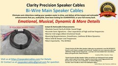 Clarity Precision Ver. 2 Bi-Wire Audiophile Speaker Cables – 12ft. Handmade
