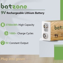 2 Pack 3700mWh 9V Rechargeable Lithium ion Battery With USB-C Type-C Battery