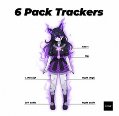 LSM6DSV SlimeVR Compatible Full-Body Trackers 6-Pack | VRChat SteamVR FBT Kit