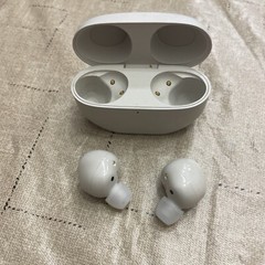 Sony WF-1000XM5 Noise Canceling Truly Wireless Bluetooth Earbuds (Silver)-
