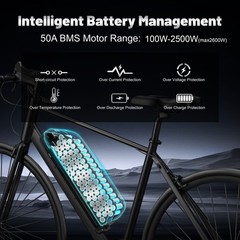 52V 25Ah Lithium Ebike Battery Polly Battery 50A BMS 100W-2600W Charger