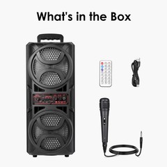 Portable Dual FM Radio and Bluetooth Speaker Karaoke w/Mic for Home Parties