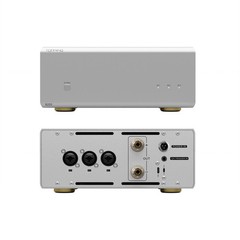TOPPING B100 Or TOPPING B200 High Power and Low Noise Mono Pure Power Amplifier