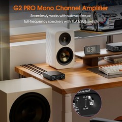 HiFi 300W Mono Channel Subwoofer / Full-Frequency Digital Amplifier Audio Amp