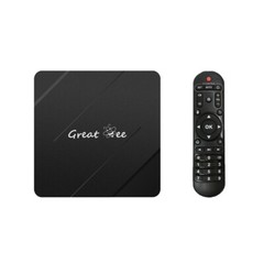 Android 10 Allwinner H313 2G 16G TV Box Remote Controller