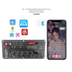 30-120W Power Amplifier Board USB Dac FM Radio TF Player Subwoofer bluetooth