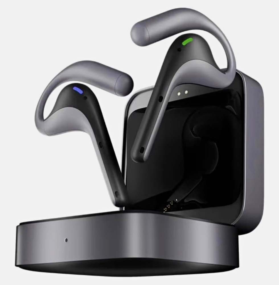 Timekettle W4 Pro AI Interpreter Wireless Bluetooth Ear-hook Earbuds Gray