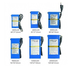 12V DC Rechargeable Lithium-ion Battery Portable Battery Pack w/ Charger Switch