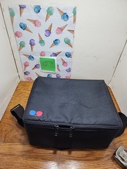 Vintage Cd/ Dvd Carry Case 28 Total Games,videos, Music Nylon Case